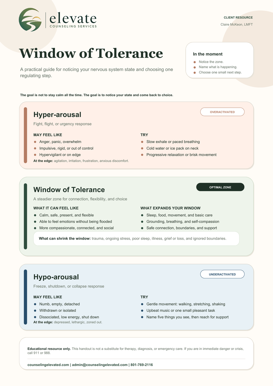 Preview of the Window of Tolerance therapy resource